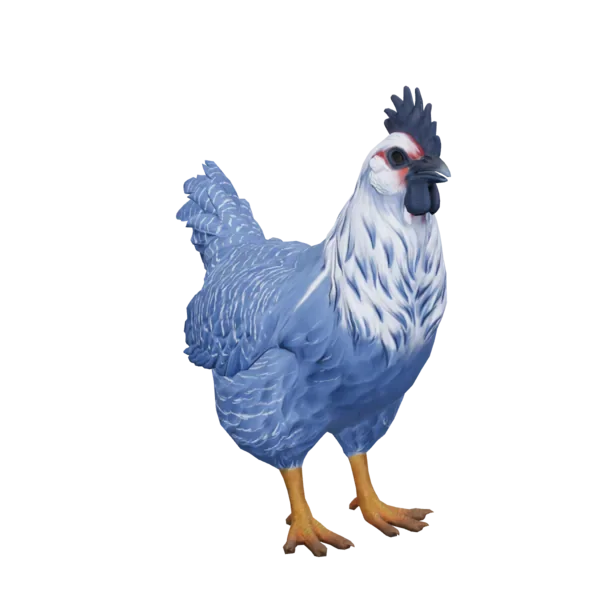 Pet Chicken | Catalana (Blue)