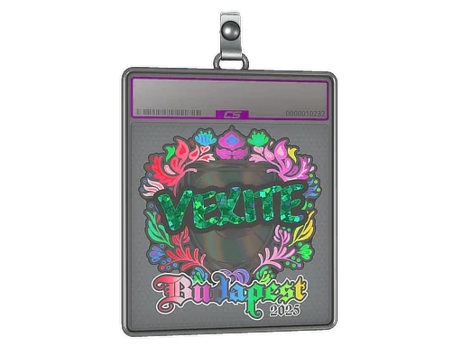 Sticker Slab | vexite (Holo) | Budapest 2025