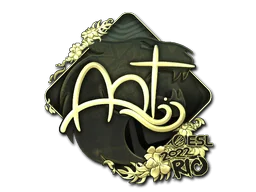 印花 | arT（金色）| 2022年里约热内卢锦标赛