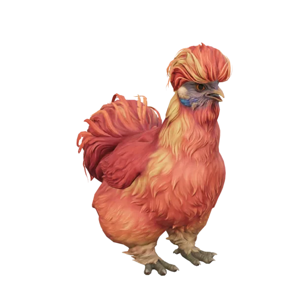 Pet Chicken | Silkie (Red)