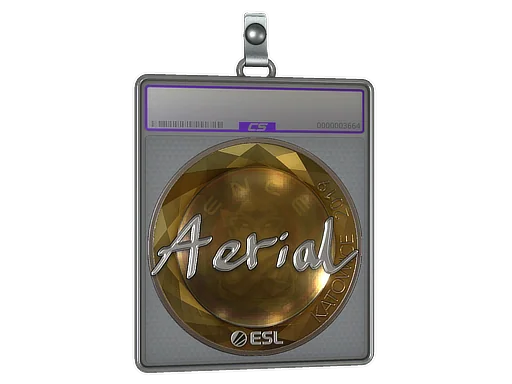 Klistermärkesfodral | Aerial (Foil) | Katowice 2019