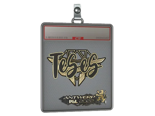 Sticker Slab | TeSeS (Gold) | Antwerp 2022