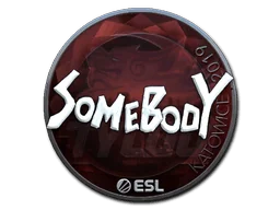 Aufkleber | somebody (Glanz) | Kattowitz 2019