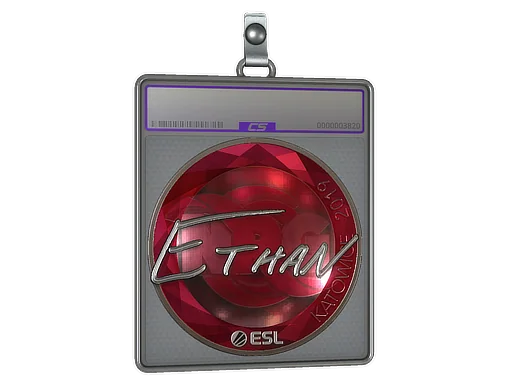 Placa de Adesivo | Ethan (Brilhante) | Katowice 2019