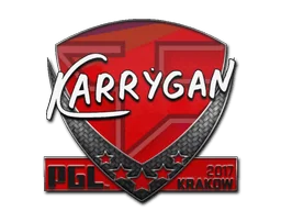 Klistermärke | karrigan | Krakow 2017