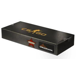 DreamHack 2014 Cache Souvenir Package