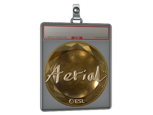 Klistermärkesfodral | Aerial (Guld) | Katowice 2019