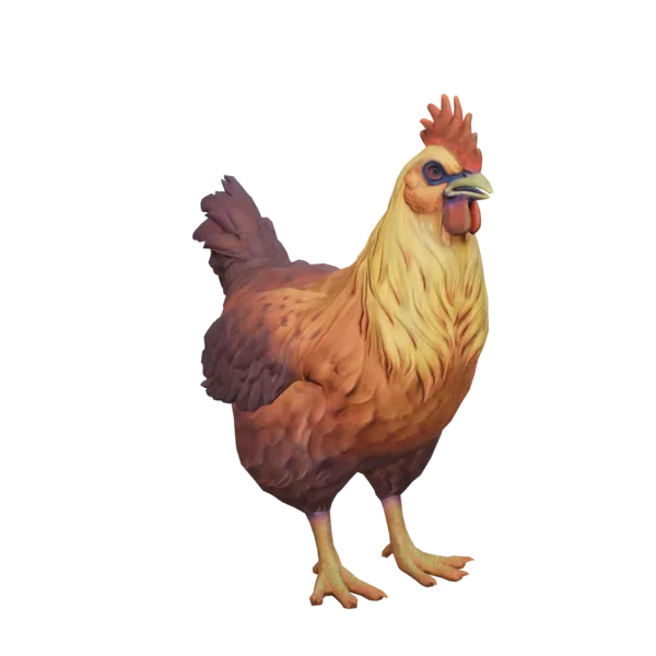 Pet Chicken | Catalana (Yellow-Red Gradient)