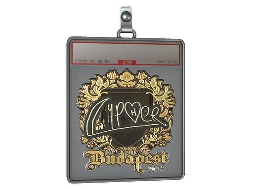 Sticker Slab | Cypher (Gold) | Budapest 2025