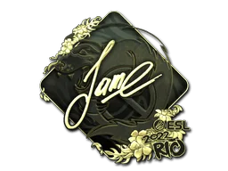 印花 | Jame（金色）| 2022年里约热内卢锦标赛