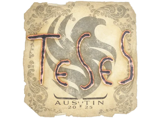 印花 | TeSeS | 2025年奥斯汀锦标赛