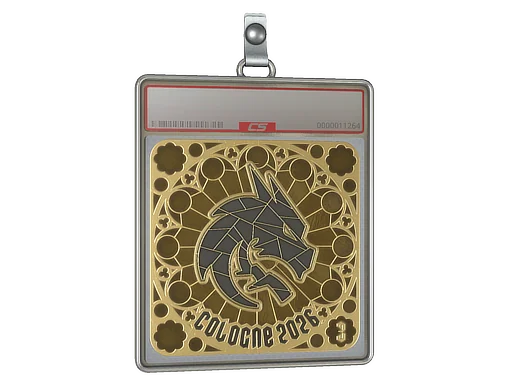 Placa de Adesivo | Team Spirit (Dourado, Classificação) | Colônia 2026