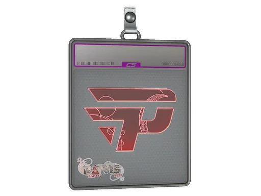 Placa de pegatinas | paiN Gaming (holográfica) | París 2023