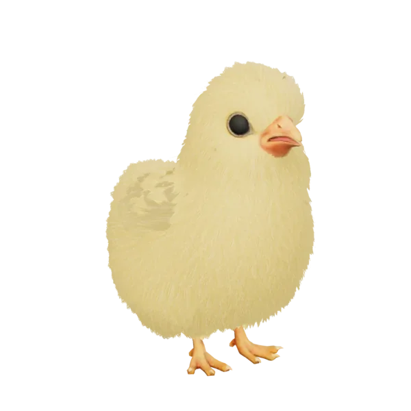Pet Chick