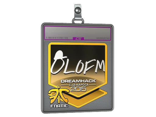 Klistermärkesfodral | olofmeister (Foil) | Cluj-Napoca 2015