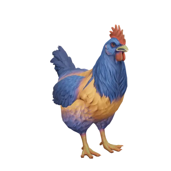 Pet Chicken | Catalana (Orange with Blue Neck)