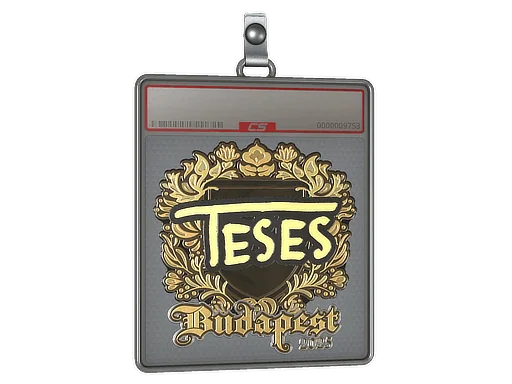 Placa de Adesivo | TeSeS (Dourado) | Budapeste 2025