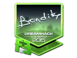 印花 | bondik（闪亮）| 2015年卢日-纳波卡锦标赛