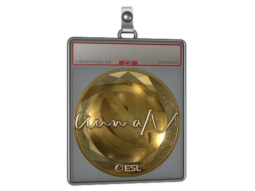 Placa de Adesivo | aumaN (Dourado) | Katowice 2019