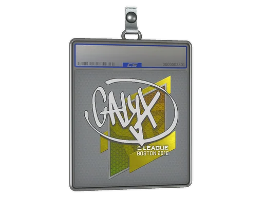 Pokrowiec na naklejkę | Calyx | Boston 2018