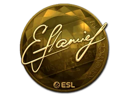 印花 | flamie（金色）| 2019年卡托维兹锦标赛