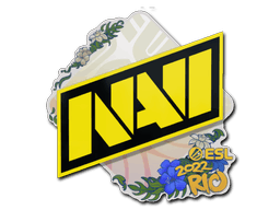 Klistermärke | Natus Vincere | Rio 2022