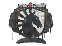 Sealed Graffiti | Team Liquid | Berlin 2019