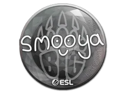 Aufkleber | smooya | Kattowitz 2019