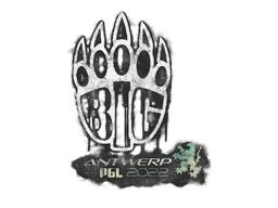 Versiegeltes Graffito | BIG | Antwerpen 2022