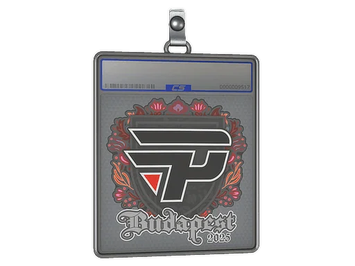 Placa de pegatinas | paiN Gaming | Budapest 2025