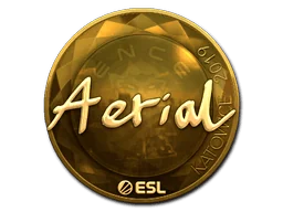 Klistermärke | Aerial (Guld) | Katowice 2019