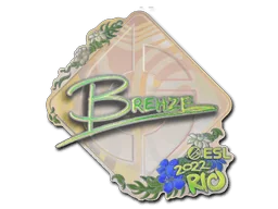 印花 | Brehze（全息）| 2022年里约热内卢锦标赛