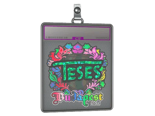 Placa de Adesivo | TeSeS (Holográfico) | Budapeste 2025
