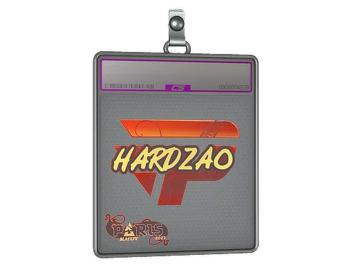 Placa de Adesivo | hardzao (Holográfico) | Paris 2023