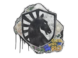 Grafite Lacrado | Team Liquid | Rio 2022