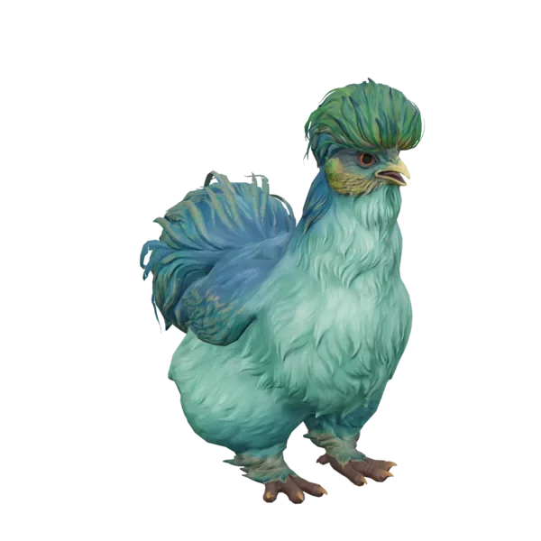 Pet Chicken | Silkie (Aqua with Yellow)