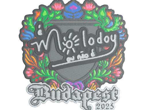 印花 | molodoy（刺绣）| 2025年布达佩斯锦标赛