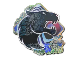 印花 | FURIA（全息）| 2022年里约热内卢锦标赛