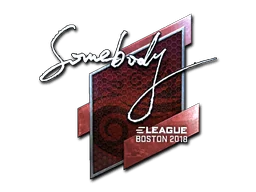 Naklejka | somebody (foliowana) | Boston 2018