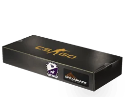 DreamHack 2014 Cobblestone Souvenir Package