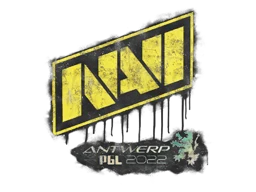 Versiegeltes Graffito | Natus Vincere | Antwerpen 2022