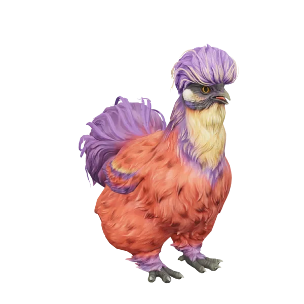 Pet Chicken | Silkie (Red Beetle)
