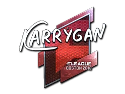 Klistermärke | karrigan (Foil) | Boston 2018