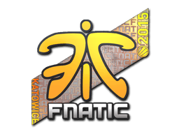 印花 | Fnatic（全息）| 2015年卡托维兹锦标赛