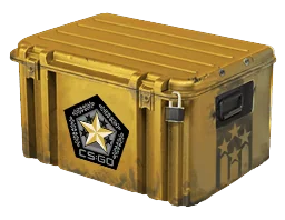Gamma 2 Case