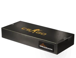 DreamHack 2013 Souvenir Package