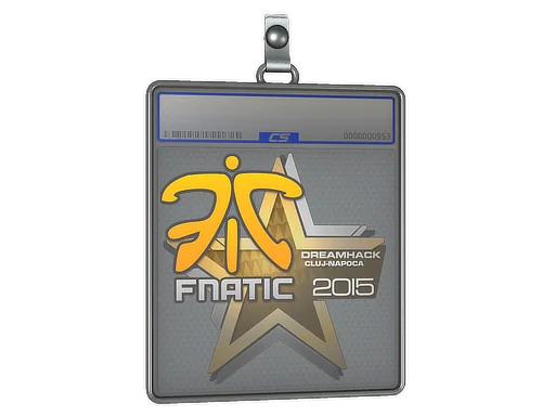 印花板 | Fnatic | 2015年克卢日-纳波卡锦标赛