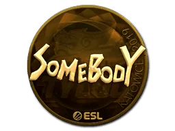 印花 | somebody（金色）| 2019年卡托维兹锦标赛