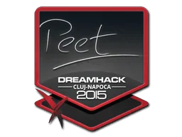 Klistermärke | peet | Cluj-Napoca 2015