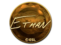 Aufkleber | Ethan (Gold) | Kattowitz 2019